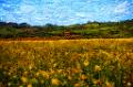 dsc26201-4-o-a1