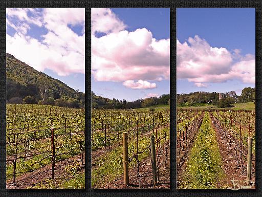 dsc09417-9-o-a1-m.tif - Glen Ellen / Sonoma Valley