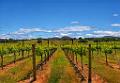 DSC09925-27-o-c1