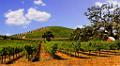 DSC15541-5-o-c1