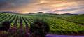 DSC15829-31-o-c1
