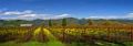 dsc09151-53-o-c1