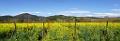 dsc09474-7-o