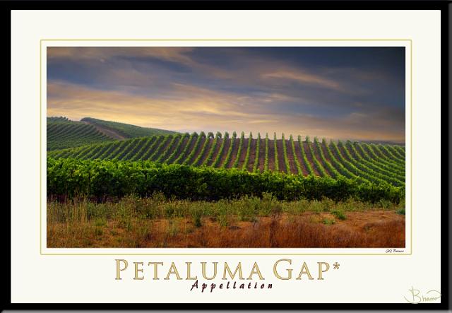 poster-ap-15667-1913-v3.jpg - Petaluma Gap Appellation (Pending)