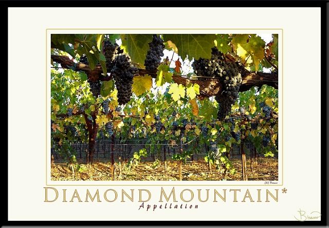 poster-ap-2137-1913-v3.jpg - Diamond Mountain Appellation