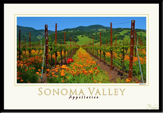 poster-ap-22031-1913-v3.jpg - Sonoma Valley Appellation