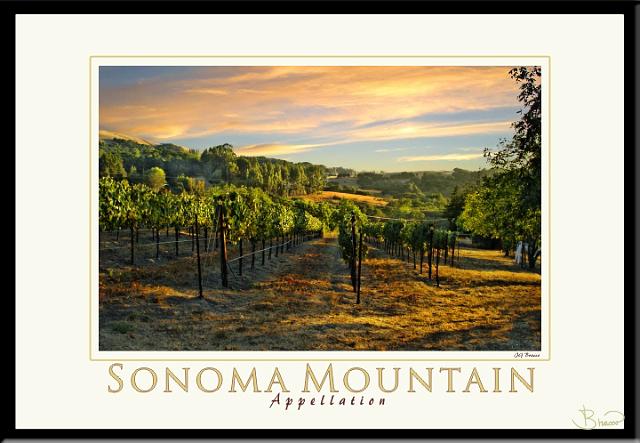 poster-ap-3998-1913-v3.jpg - Sonoma Mountain Appellation