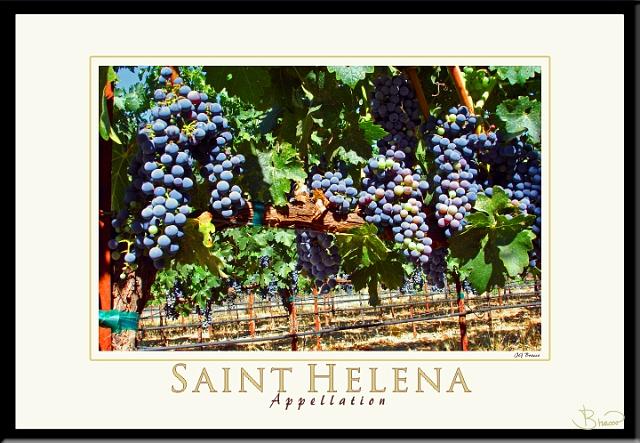 poster-ap-4052-1913-v3.jpg - Saint Helena Appellation