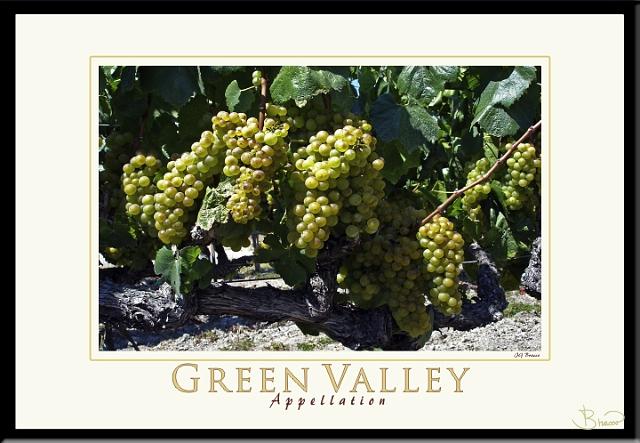 poster-ap-4270-1913-v3.jpg - Green Valley Appellation