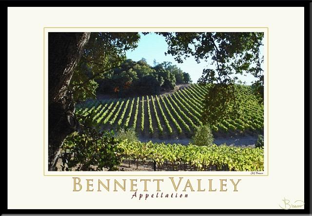 poster-ap-4710-1913-v3.jpg - Bennett Valley Appellation