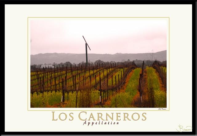 poster-ap-9029-1913-v3.jpg - Los Carneros Appellation