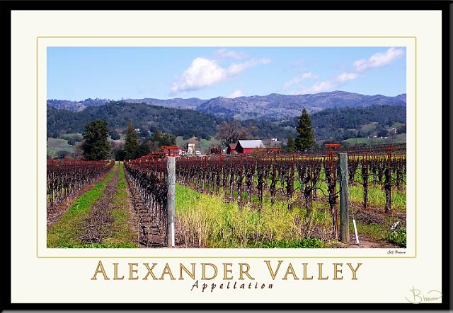 poster-ap-9123-1913-v3.jpg - Alexander Valley Appellation