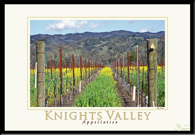 poster-ap-9135-1913-v3.jpg - Knights Valley Appellation