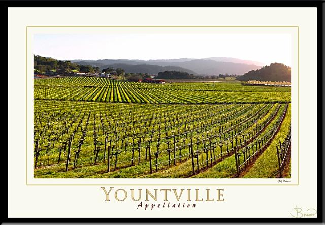 poster-ap-9235-1913-v3.jpg - Yountville Appellation