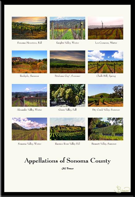 poster-ap_son_1319-v6.jpg - Appellations Poster