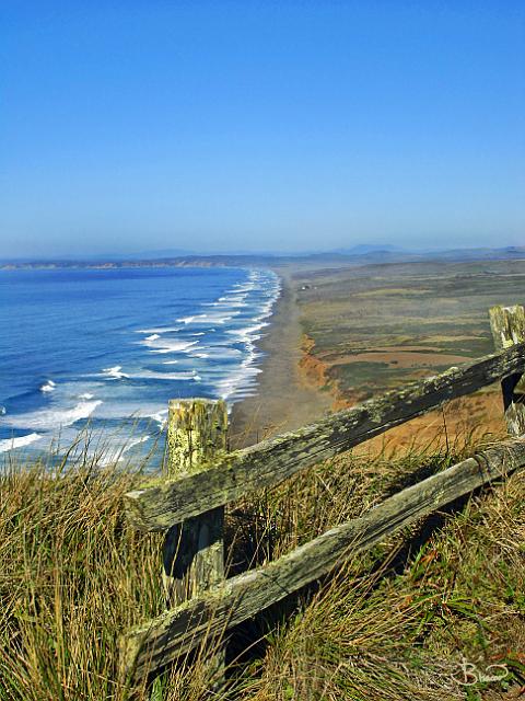 DSC05244.tif - Point Reyes (Marin)