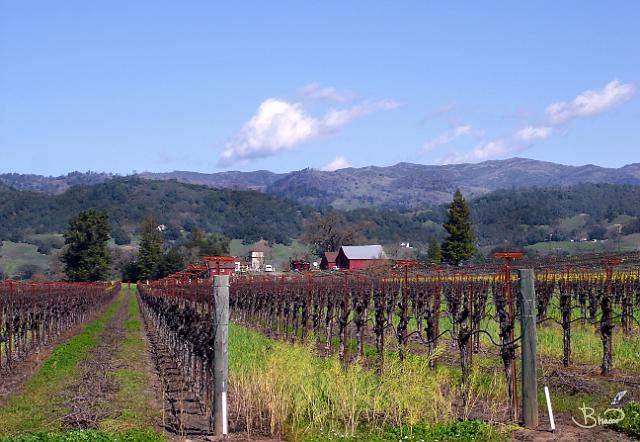 DSC09123.tif - Alexander Valley