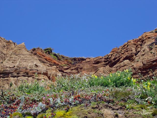 DSC14264.tif - Cliffs, Point Reyes Beach (Marin)