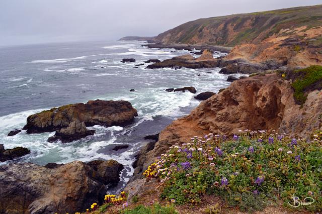 DSC20523.tif - Coast near Bodega Bay