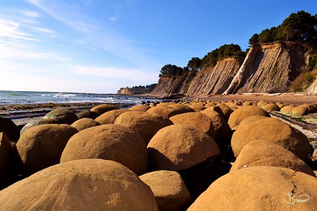 DSC23355.tif - Bowling Ball Beach (Mendocino)