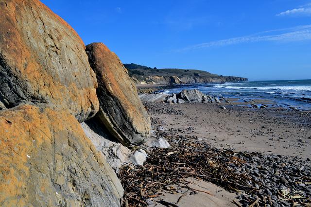 DSC23379.tif - Bowling Ball Beach (Mendocino)