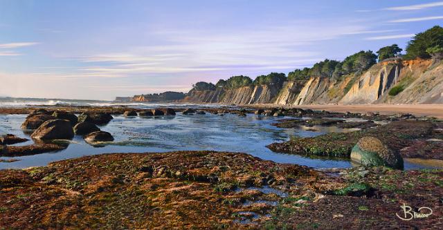 DSC23399-404-o-web.jpg - Bowling Ball Beach (Mendocino)