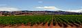 DSC20970-6-o-lores