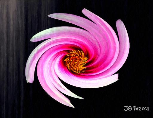 DSC07187-a8.jpg - Spinning Dahlia