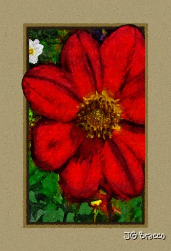 DSC07510-a10-13x19-a2.tif -                                