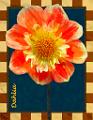 DSC07227-a4