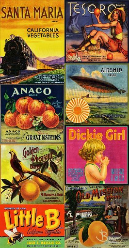 fruit-v1-13x25-ps.tif - Vintage Fruit Crate Labels -2