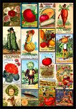 poster-seeds-s1-2-13x19