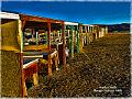 DSC01301-a4