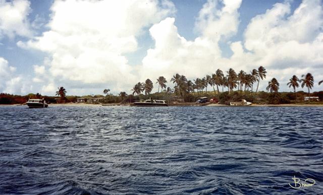 ferry.tif - Ferries, BVI