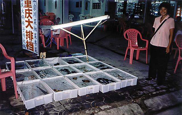 seafood.tif - Seafood Restaurant, Sanya China