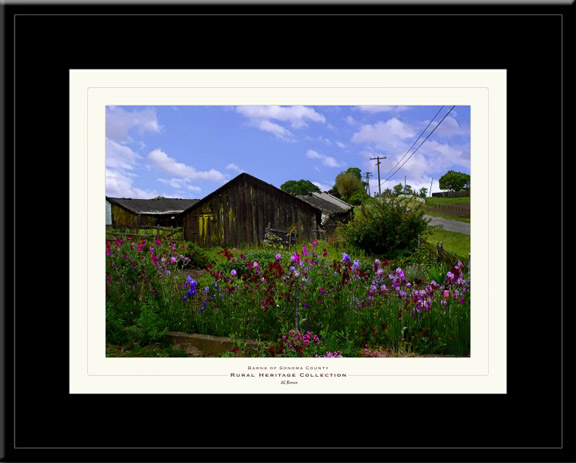 Flower Barn